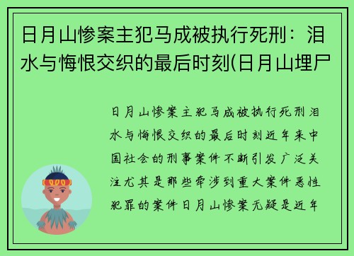 日月山惨案主犯马成被执行死刑：泪水与悔恨交织的最后时刻(日月山埋尸案涉案人员)