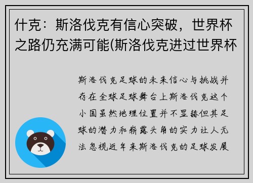 什克：斯洛伐克有信心突破，世界杯之路仍充满可能(斯洛伐克进过世界杯吗)