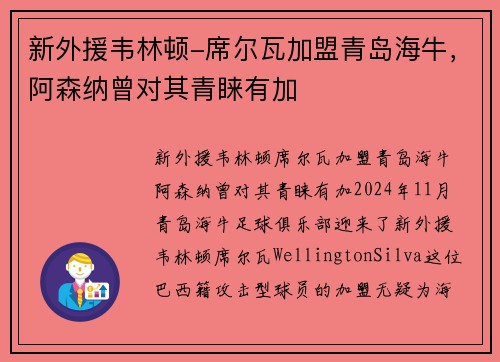 新外援韦林顿-席尔瓦加盟青岛海牛，阿森纳曾对其青睐有加